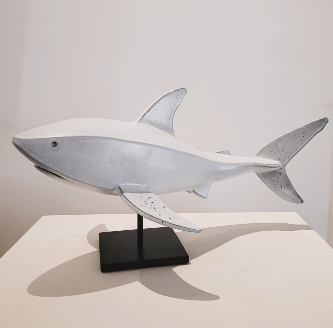 Requin blanc-Olivier FONSECA